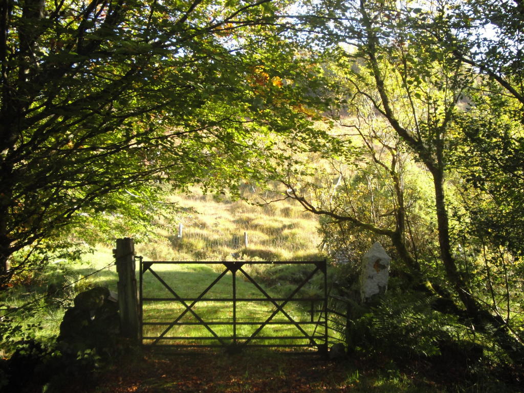 The Gap Lodge B&B Donegal Town Zewnętrze zdjęcie